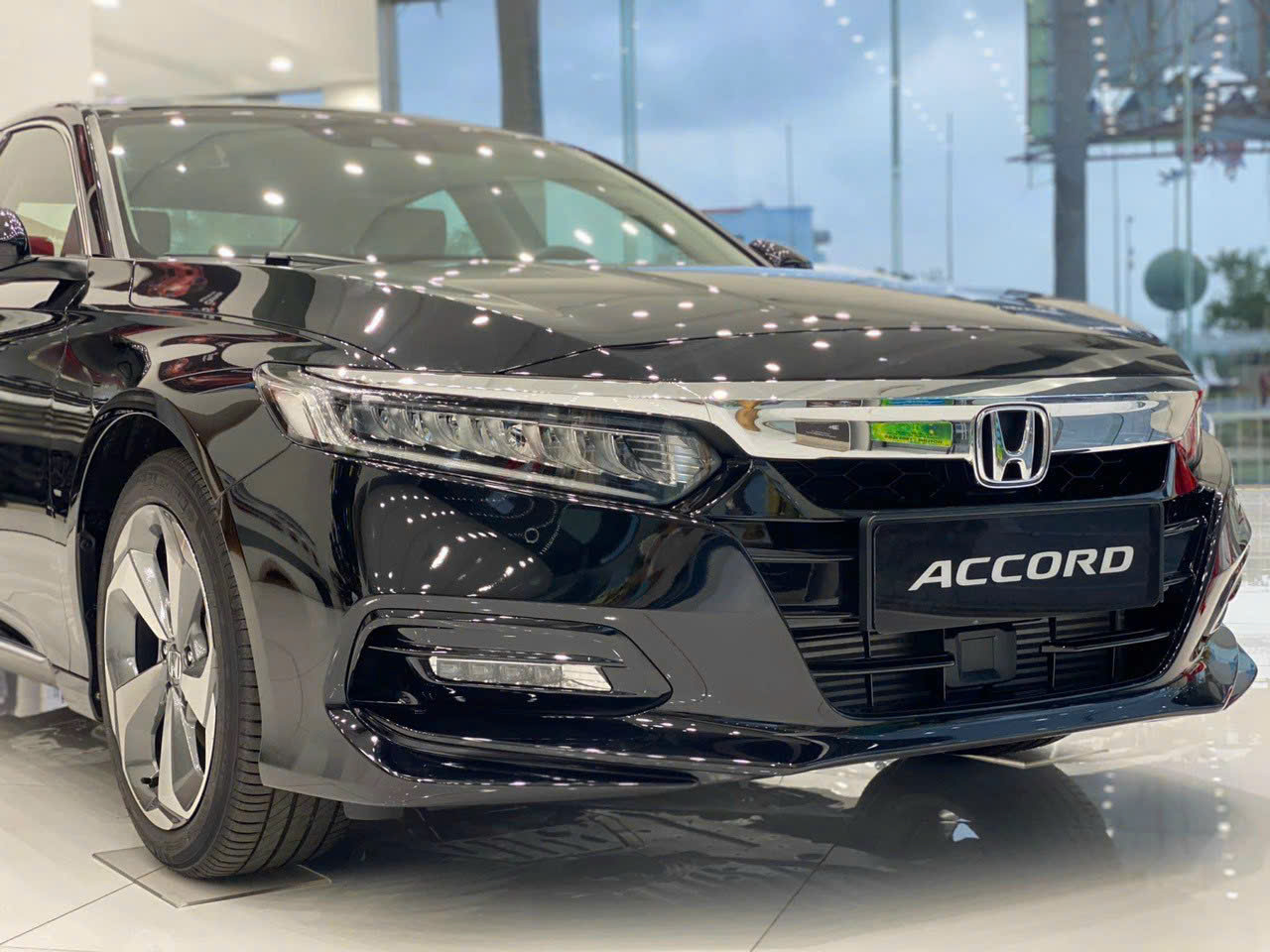 đầu xe Honda Accord