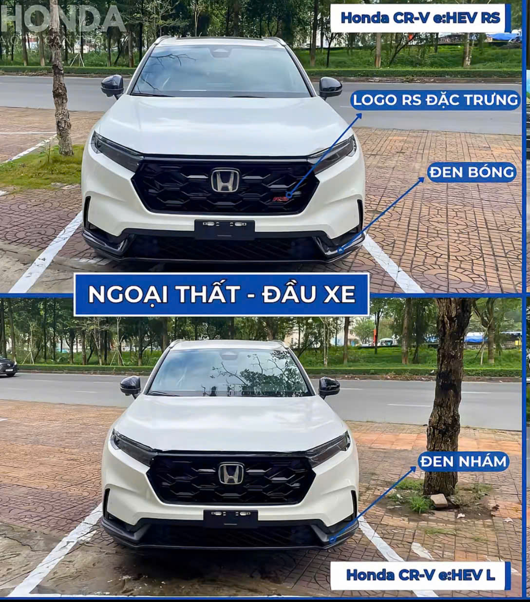 CÁC ĐIỂM KHÁC NHAU CỦA CRV L HYBRID VÀ RS HYBRID 2026